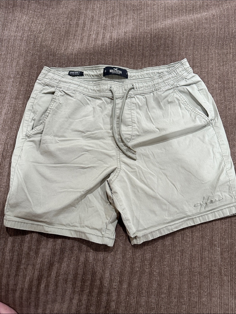 Hollister Men's sea foam green p Elastic Waist Athletic Shorts